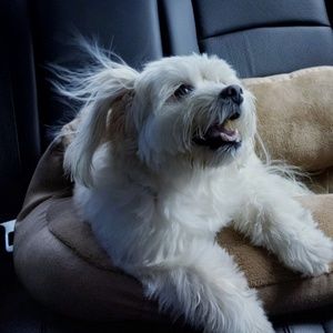 Meet your Posher, Mike